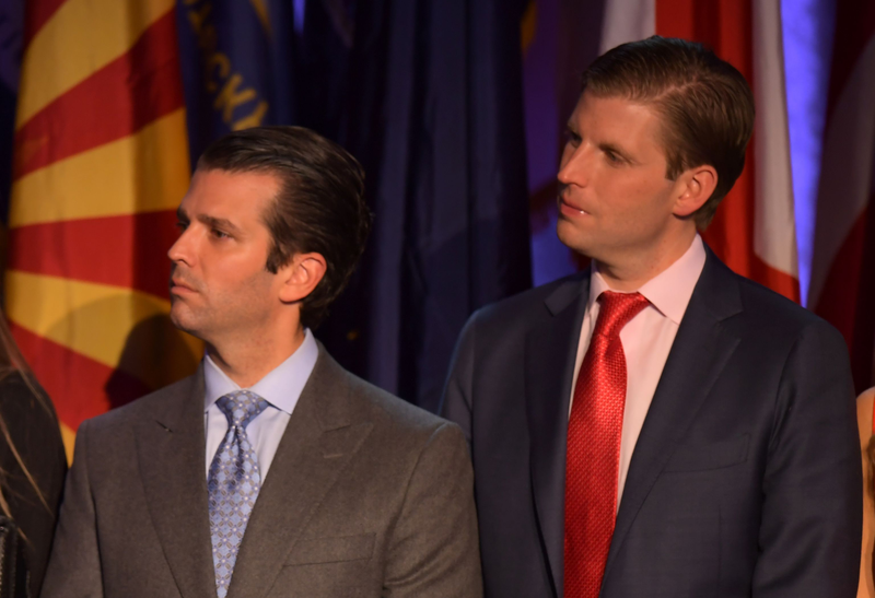 Donald Trump Jr. and Eric TrumpJIM WATSON/AFP/Getty Images